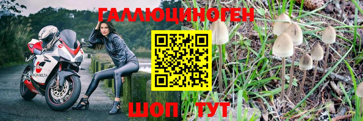 Псилоцибиновые грибы мухоморы Тавда