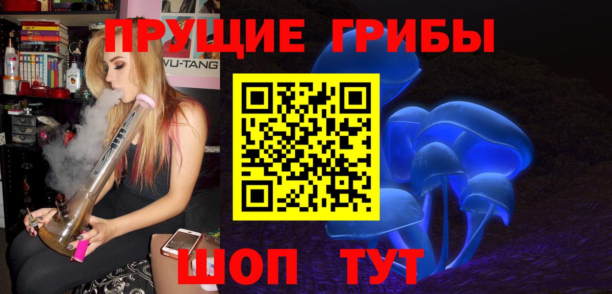 Тавда  Галлюциногенные грибы прущие грибы  Вход с VPN  Галлюциногенные грибы мицелий 